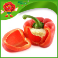 Bell Pepper/Color pepper black pepper 550gl/ 500gl